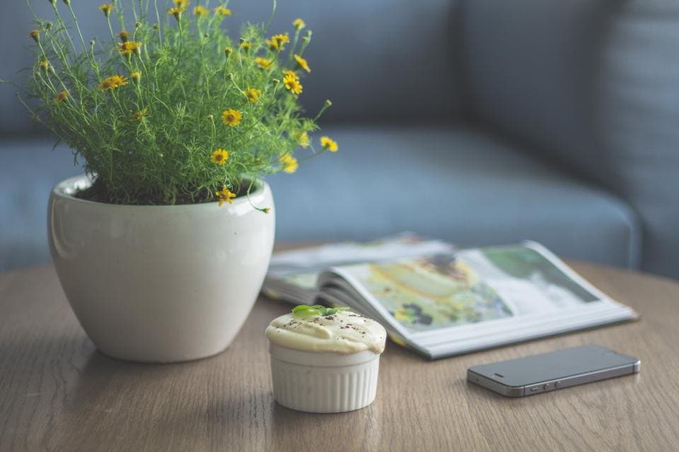 White ceramic planter holding greenery on a living-room table
