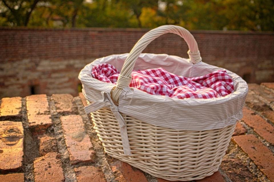 Cream wicker picnic basket with a red gingham liner